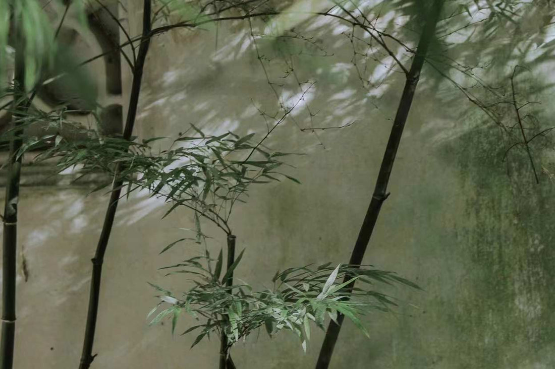 Luxe Authenticity: Best Oriental Living Collections
