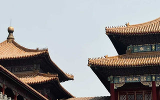 Majestic Inspirations: Chinese Palace Culture's Influence on Fashion and Design