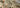 The Spiritual Significance of Yungang Grottoes Tryadhva-buddha Statue