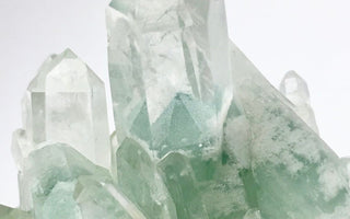 ✦ Green Phantom: The Silent Guardian of Grounded Abundance ✦