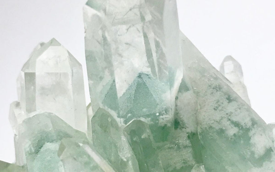 ✦ Green Phantom: The Silent Guardian of Grounded Abundance ✦