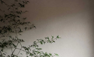 Zen Simplicity in Action: Mindful Living's Transformative Power