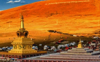 Dharma Jewel of Buddhism: a collection of sacred Buddhist texts in Tibetan Buddhism