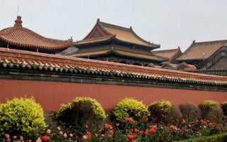 Unveiling the Splendors of Palace Culture: A Comprehensive Exploration into Imperial Architecture and Traditions