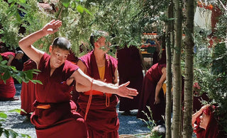 Embracing the universal compassion through the Bodhisattva Ideal