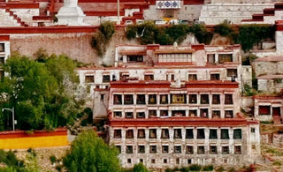 Bodhisattva Ideal: Nourishing the seed of compassion with the Bodhisattva Ideal