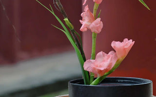 Wisdom in Parables: Zen Stories and Enigmatic Koans