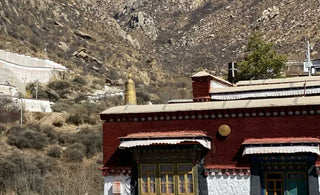 Life of Buddha and the secrets of mediation revealed from the ancient murals