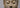 The Intriguing History of Tang Dynasty Buddha Head Statue