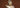 A Glimpse into History: Tang Dynasty Wooden Buddha Statues