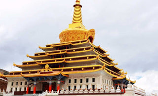 Tibetan Buddhist Monasteries: a primary locus for the generation and preservation of Tibetan culture