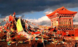 A special relationship developed between people and their Mala