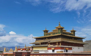 A celebration of heritage and spirituality : Discovering the hidden treasures of Tibetan culture through the lens of the Sho Dun Festival