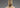 Spiritual Legacy: Northern Wei Stone Buddha Statues