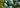Turquoise: The Ultimate Guide to Its Meaning, Value, and Uses