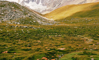Radiant Without Blemish: Kailash Energy's Jewelry Practice and Ecological Redemption