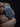Kailash Energy