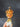 Kailash Energy