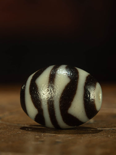 Tibetan Pure Black & White Double Tiger Fang Daro Dzi Bead Pendant