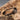 Kailash Energy