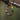 Eye of Awakening Three-Eyed Dzi Bead puretibetan