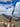 Kailash Energy