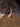Kailash Energy