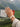 Kailash Energy