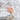 Kailash Energy