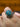 Kailash Energy
