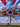 Kailash Energy