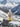 Kailash Energy
