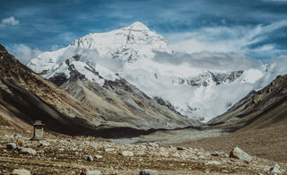 A Witness to Earth's History