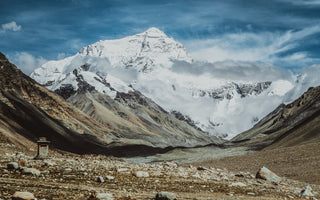 A Witness to Earth's History