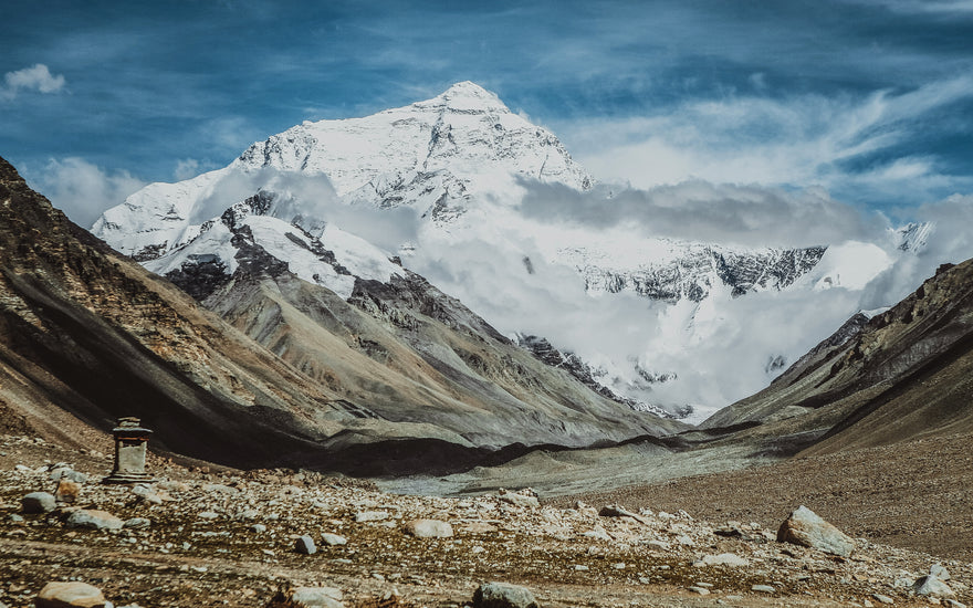 A Witness to Earth's History