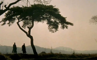 An aesthetic view of Tang Dynasty in ancient China