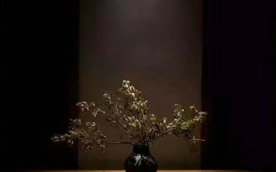 Elevate Your Space with Stunning Qing Yongzheng Style Enamel Vases