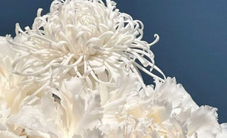 Timeless Craftsmanship: Celebrating the Artistry of Dehua Porcelain