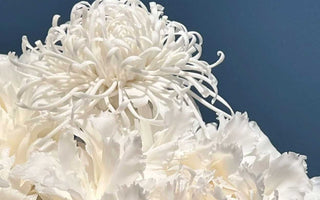 Timeless Craftsmanship: Celebrating the Artistry of Dehua Porcelain