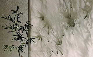 The Role of Oriental Aesthetics in Fostering Cross-Cultural Understanding