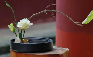 Beyond Words and Notions: The Zen Transcendence Experience