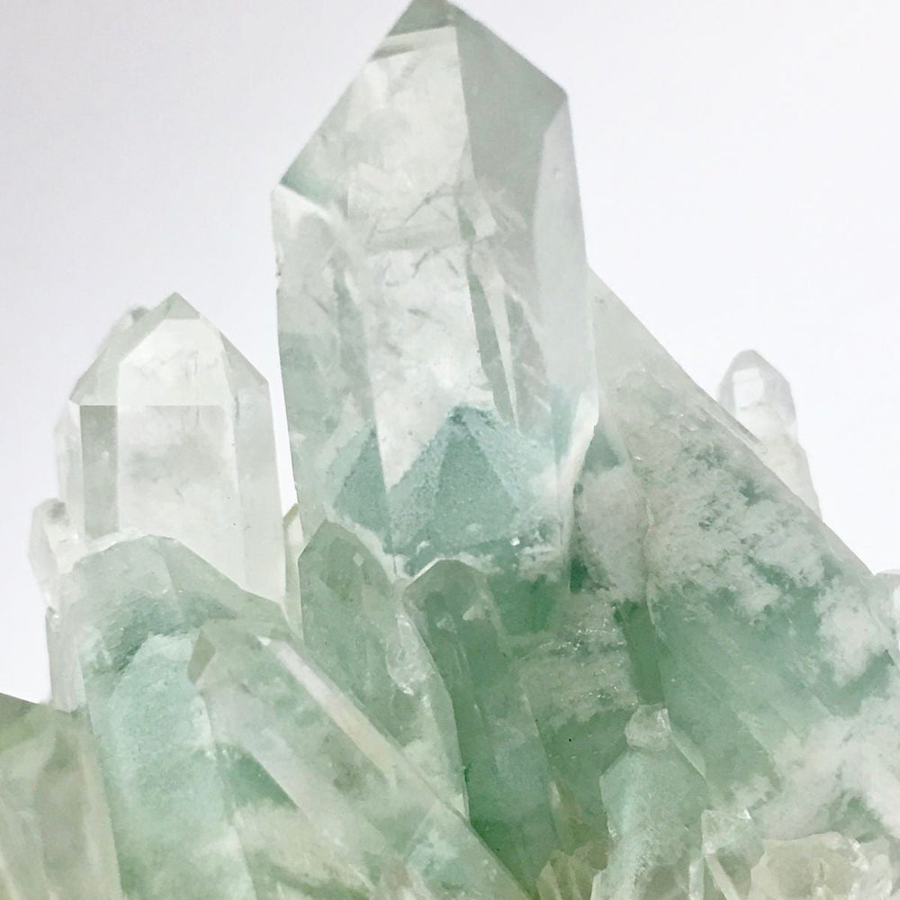 ✦ Green Phantom: The Silent Guardian of Grounded Abundance ✦