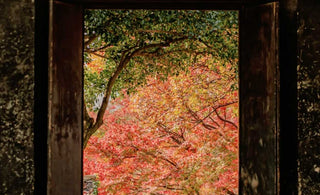 The Role of Oriental Aesthetics in Safeguarding Artistic Traditions