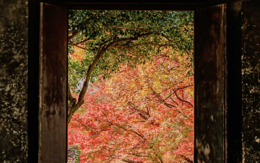 The Role of Oriental Aesthetics in Safeguarding Artistic Traditions