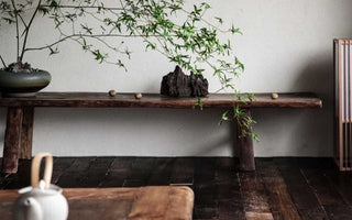 In the Zen Flow: Harmonizing with the Natural Rhythms
