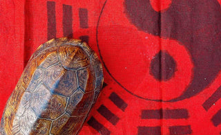 The Evolution of Tortoise Artwork: From Tradition to Contemporary