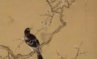 Unlocking the Hidden Meaning of Magpie Symbolism