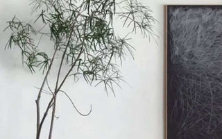 Zen Havens: Crafting Tranquility with Zen Gardens