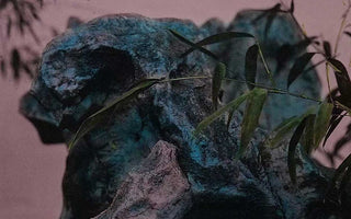 Zen Stone Gardens: Artistic Balance for Meditation