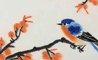 Unveiling the Origins and Cultural Significance of Magpie Symbolism
